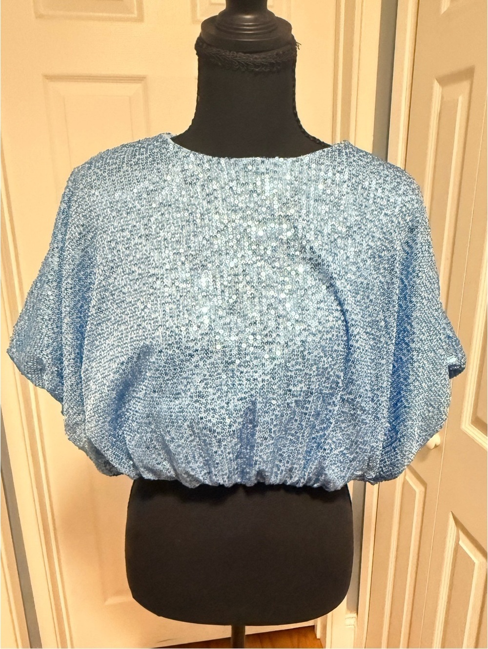 ENDLESS ROSE Voluminous Sequined Crop Top Blue Party Holiday NWT Small - Picture 2 of 5